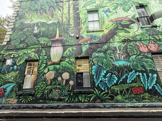 Melbourne Street Art: Finding Jungle Funk
